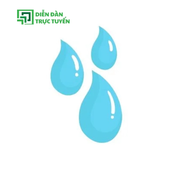 Hình: Giọt nước vector cơ bản