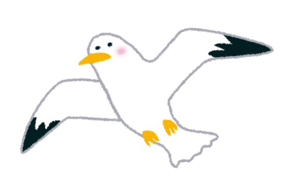 Vector chim hải âu đánh má hồng