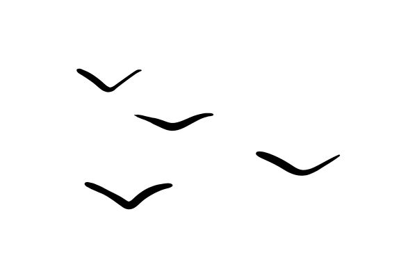 Chim hải âu vector nét vẽ cơ bản