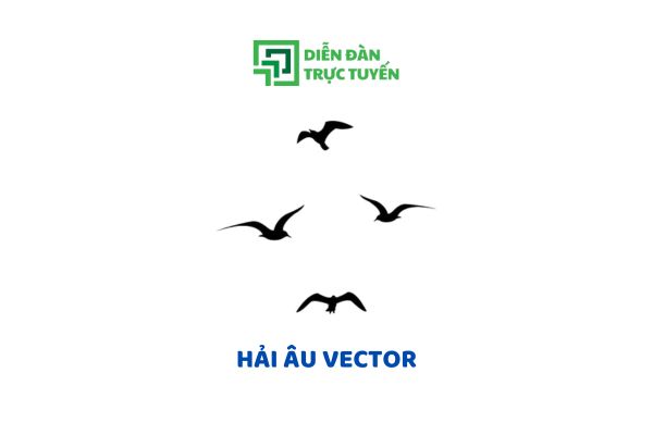 Download 50+ Mẫu Hải Âu Vector Nền Trong Suốt