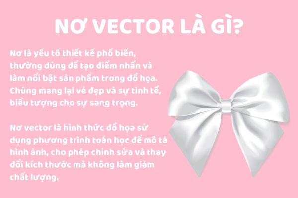 Nơ Vector là gì?