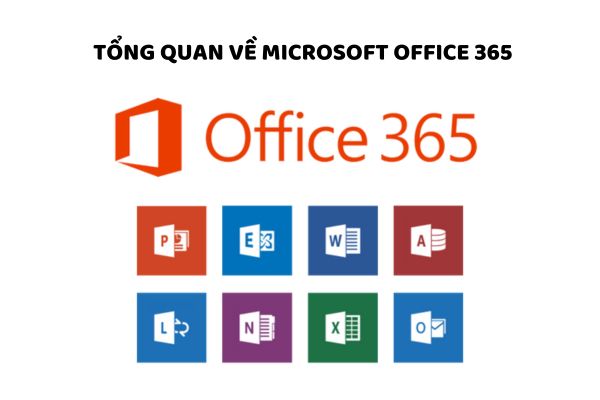 Tổng quan về Microsoft Office 365