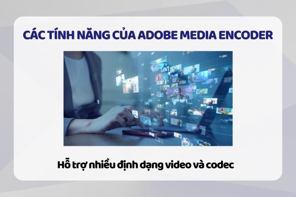 Hỗ trợ nhiều định dạng video và codec