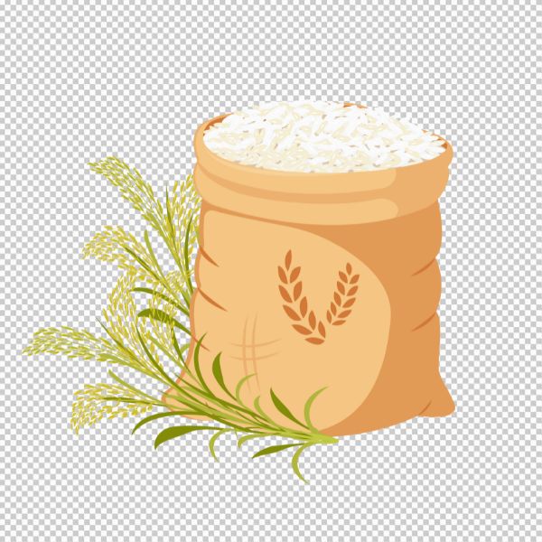 Bông lúa và bao gạo vector