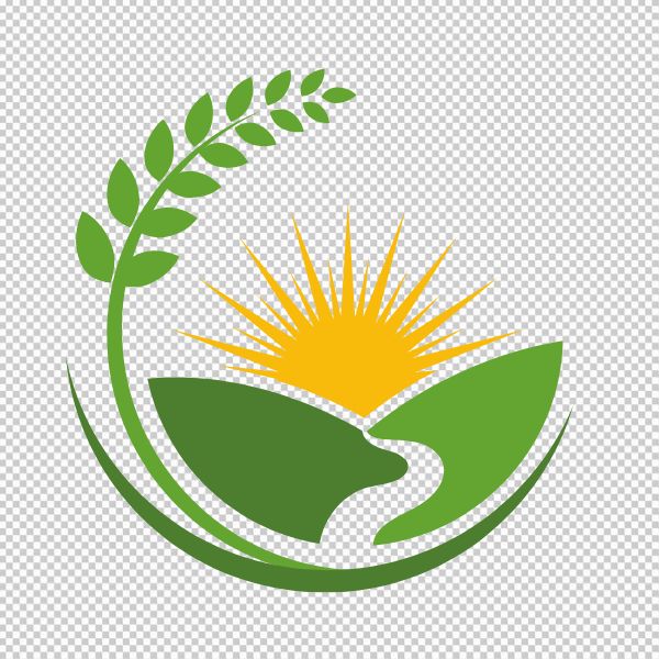 Logo bông lúa vector