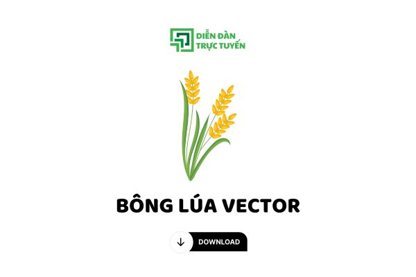H1 Tải Miễn Phí File Bông Lúa Vector JPG, PNG, PDF Đẹp Bông lúa, biểu tượng quen thuộc của người Việt Nam, gắn liền với nền văn minh lúa nước và mang ý nghĩa về sự no ấm, thịnh vượng. Ngày nay, hình ảnh bông lúa được ứng dụng rộng rãi trong thiết kế, đặc biệt là dưới dạng vector. Bài viết tại Diendantructuyen.com chia sẻ về ý nghĩa của hình ảnh bông lúa vector và link tải miễn phí các file vector với định dạng JPG, PNG, PDF. H2 Ý nghĩa của hình ảnh bông lúa vector Bông lúa, với những hạt lúa căng tròn, trĩu hạt, là biểu tượng của sự no đủ, ấm no và hạnh phúc. Hình ảnh này gợi lên sự trù phú của đất trời, sự sung túc của mùa màng bội thu. Bên cạnh đó, bông lúa còn thể hiện sức sống mãnh liệt, vươn lên từ những khắc nghiệt của thiên nhiên. Trong thiết kế, bông lúa vector mang đến sự tinh tế, sang trọng và ý nghĩa sâu sắc. Nó thường được sử dụng để thể hiện sự phát triển, thịnh vượng, gắn liền với các giá trị truyền thống và bản sắc dân tộc. H2 Link download file bông lúa vector JPG, PNG, PDF tách nền Nắm bắt được nhu cầu sử dụng hình ảnh bông lúa vector ngày càng cao, Diendantructuyen.com đã tổng hợp và chia sẻ đến bạn bộ sưu tập file bông lúa vector với đa dạng định dạng, bao gồm JPG, PNG, PDF, tất cả đều được tách nền kỹ càng, giúp bạn dễ dàng sử dụng trong các dự án thiết kế của mình. Thông tin file Bông lúa vector: Dung lượng file: 1,1 MB (.Rar) Định dạng tệp: .AI, .EPS, .SVG, .PNG, .PDF, .JPG Loại file chỉnh: Vector & Image Thông tin file Kem vector: Dung lượng file: 1,1 MB (.Rar) Định dạng tệp: .AI, .EPS, .SVG, .PNG, .PDF, .JPG Loại file chỉnh: Vector & Image H2 Tổng hợp file bông lúa vector đa dạng thiết kế Tải Miễn Phí File Bông Lúa Vector JPG, PNG, PDF Đẹp