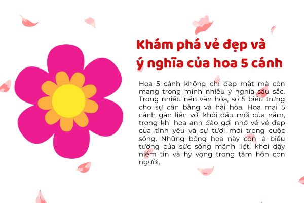 Khám phá vẻ đẹp và ý nghĩa của hoa 5 cánh
