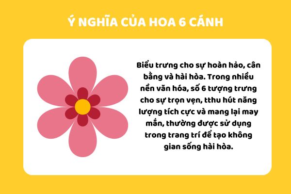 Ý nghĩa của hoa 6 cánh