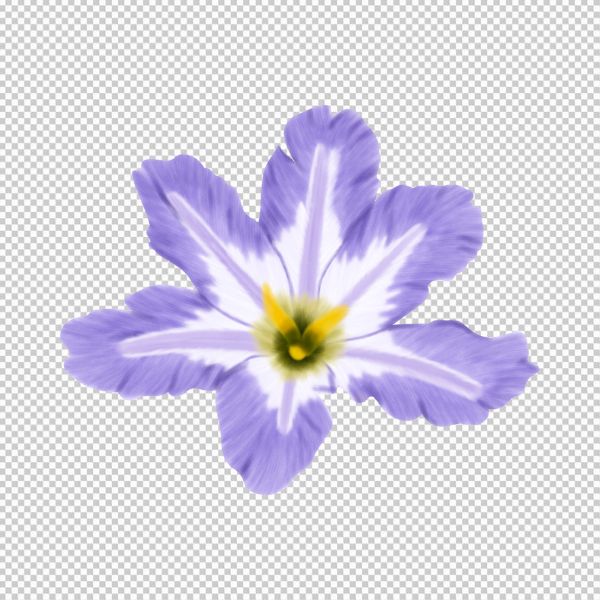 Vector hoa 6 cánh màu tím loang 