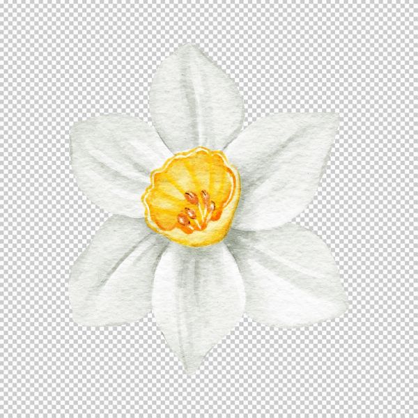 Mẫu vector hoa 6 cánh trang nhã 