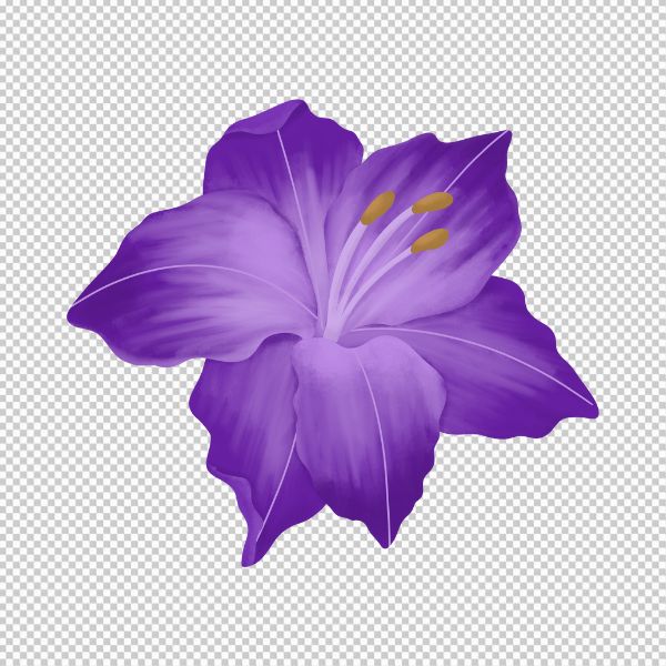 Hoa 6 cánh vector màu tím đẹp 