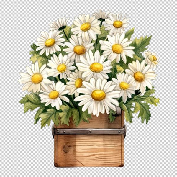 Hoa cúc vector chậu hoa trang trí đẹp rực rỡ