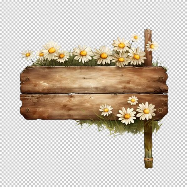 Vector hoa cúc có bảng hiệu