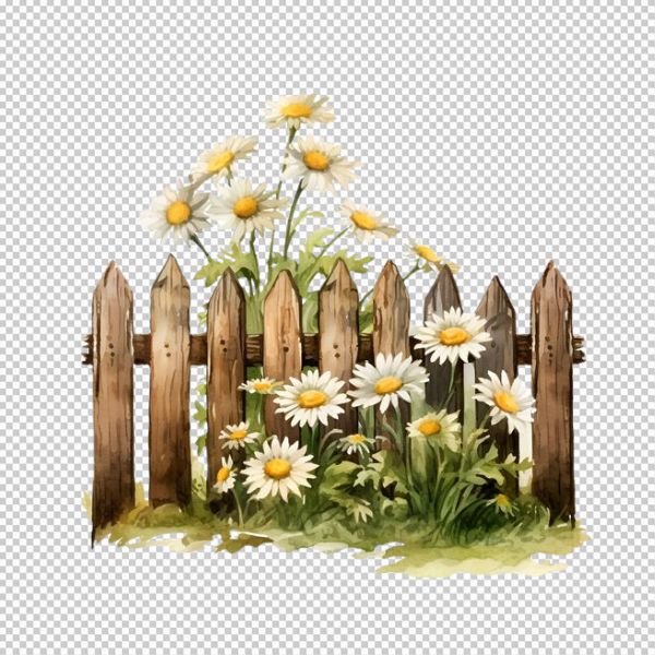 Hàng rào và hoa cúc trắng mẫu vector đồ hoạ