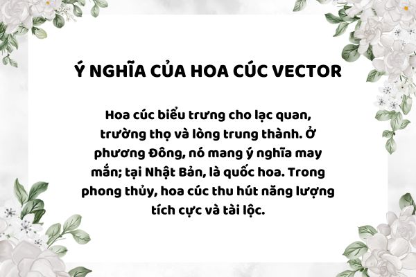 Ý nghĩa của hoa cúc