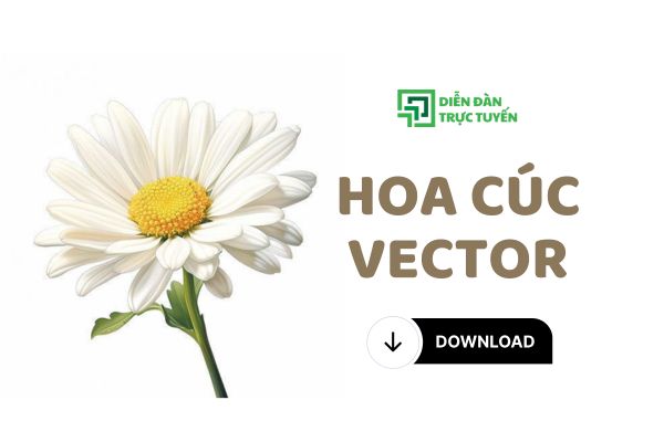 Download Bộ Sưu Tập 99+ Hoa Cúc Vector file PNG, ESP, PDF