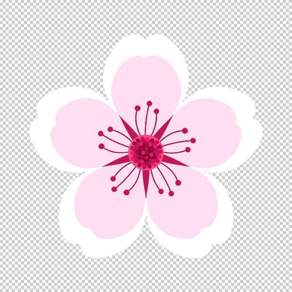 Mẫu hoa đào tết vector basic