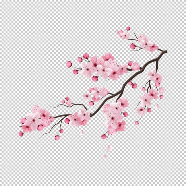 Nhánh hoa đào vector Tết 2025