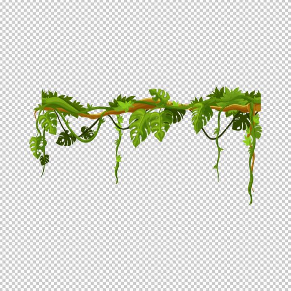 Hoa dây leo vector trang trí 