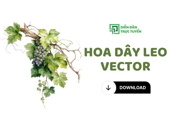 Tải Ngay Bộ Sưu Tập Hoa Dây Leo Vector Đẹp, Mới Nhất 