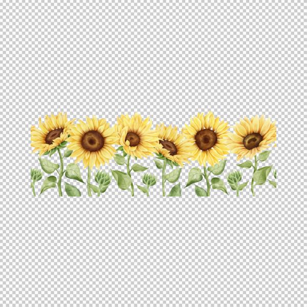 Hoa hướng dương mẫu vector rực rỡ