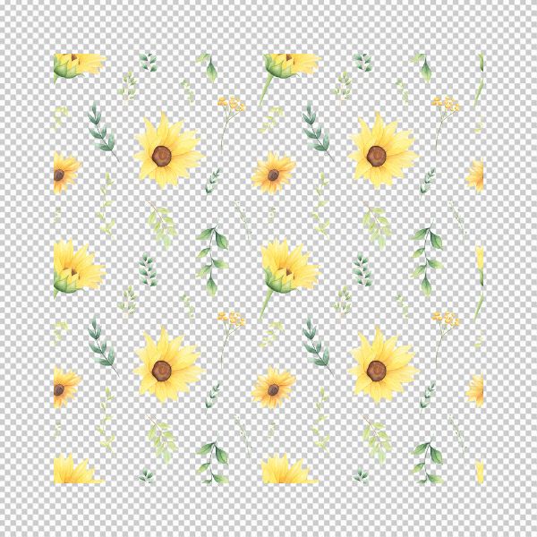 background hoa hướng dương vector đẹp