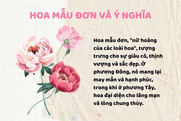 Hoa mẫu đơn và ý nghĩa