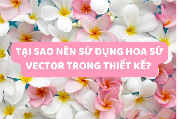 Tại sao nên sử dụng hoa sứ vector trong thiết kế?