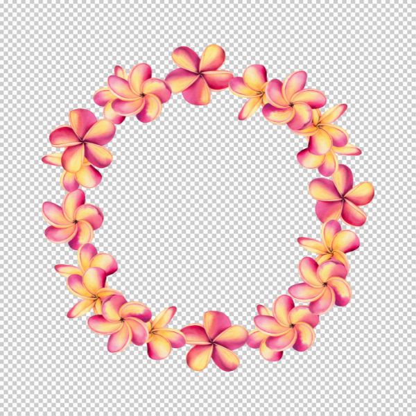 Vòng hoa sứ vector