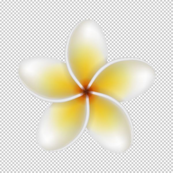 Hoa sứ vector tiêu chuẩn