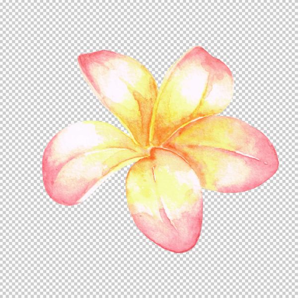 Vector hoa sứ màu hồng nhẹ viền hoa