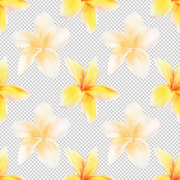 Background hoa sứ vector png