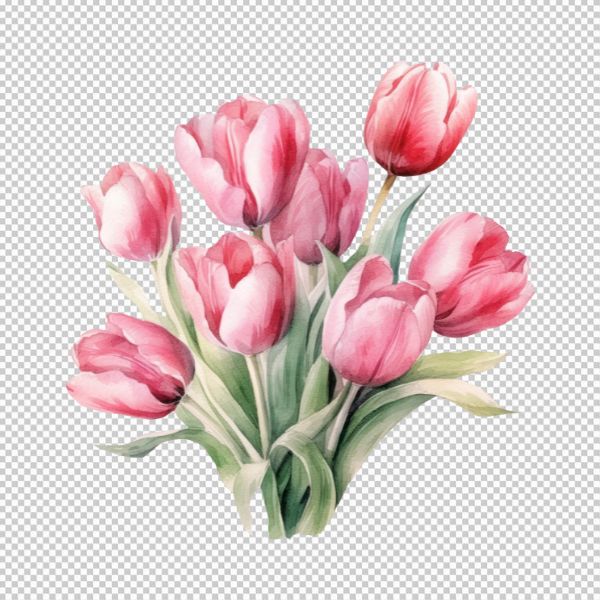 Vector hoa tulip đẹp