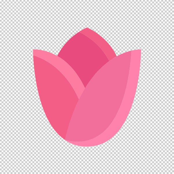 Cánh hoa tulip vector