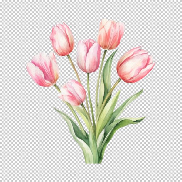 Vector hoa tulip hoa lá