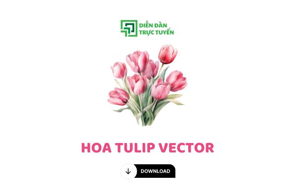 Tải Bộ Ảnh Hoa Tulip Vector Rực Rỡ File PNG Miễn Phí