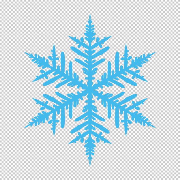 Vector hoa tuyết PNG