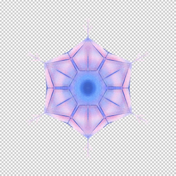 Bông hoa tuyết vector