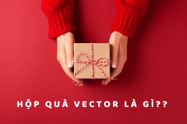 Hộp quà vector là gì?