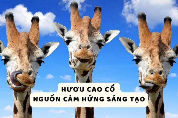 Hươu cao cổ - Nguồn cảm hứng sáng tạo
