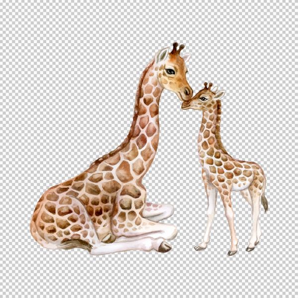 Vector hươu cao cổ hai mẹ con 