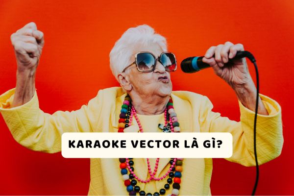 Karaoke Vector là gì?
