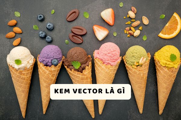 Kem Vector là gì ?