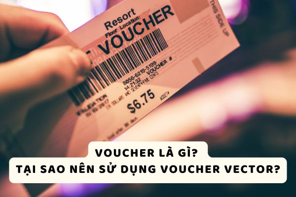 Voucher là gì? Tại sao nên sử dụng Voucher vector?