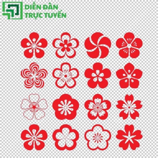 Hoa mai vector thường dùng trong thiết kế