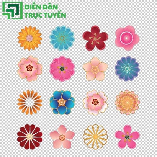 Logo ảnh hoa mai vector tách nền