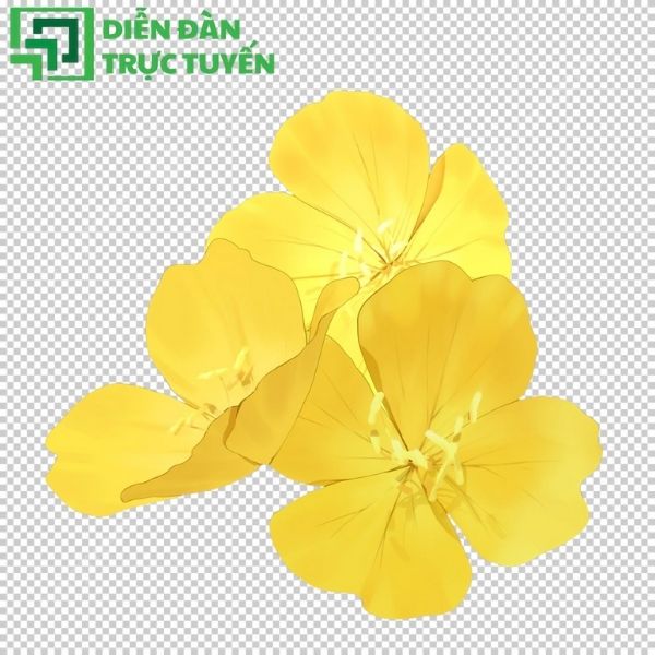 Bông hoa mai vector với thiết kế cách điệu, tinh tế