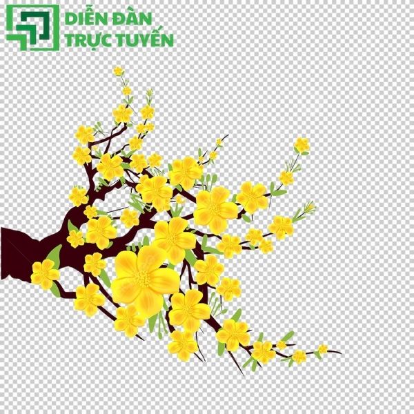 Cành mai với hiệu ứng hoa rơi