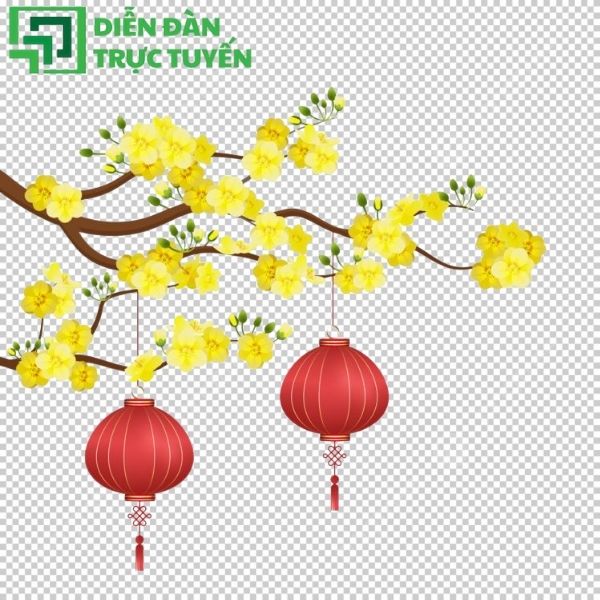 Cành hoa mai sum suê vector