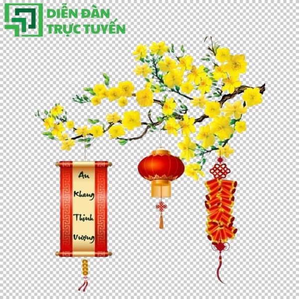 Cành hoa mai vector rõ, sắc nét